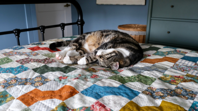 THE EDIT: NEW SEWING PATTERN RELEASES - 26 OCTOBER