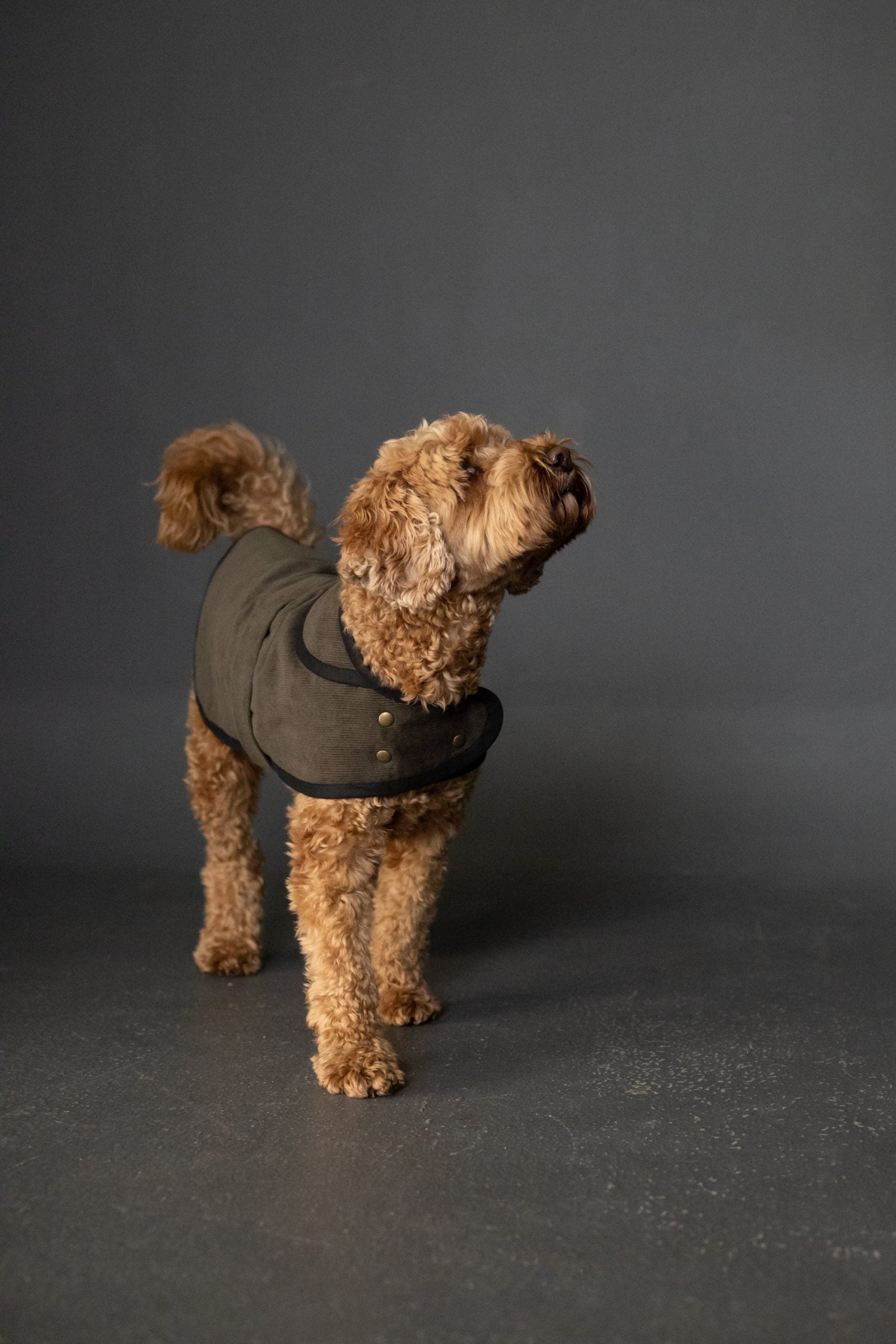 Merchant & Mills Barka Dog Coat