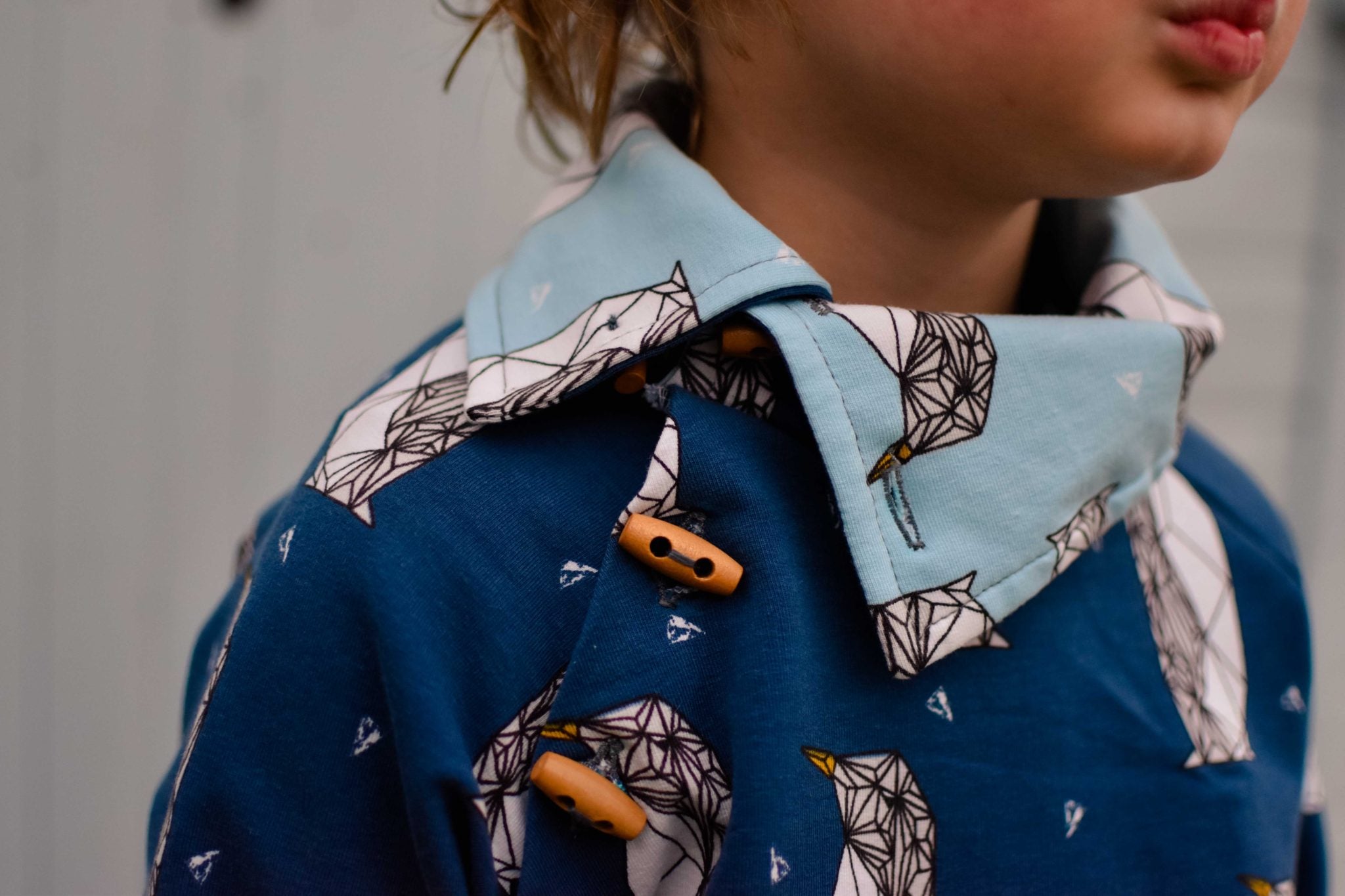 Waves & Wild Baby/Child Adventurer Raglan Sweatshirt