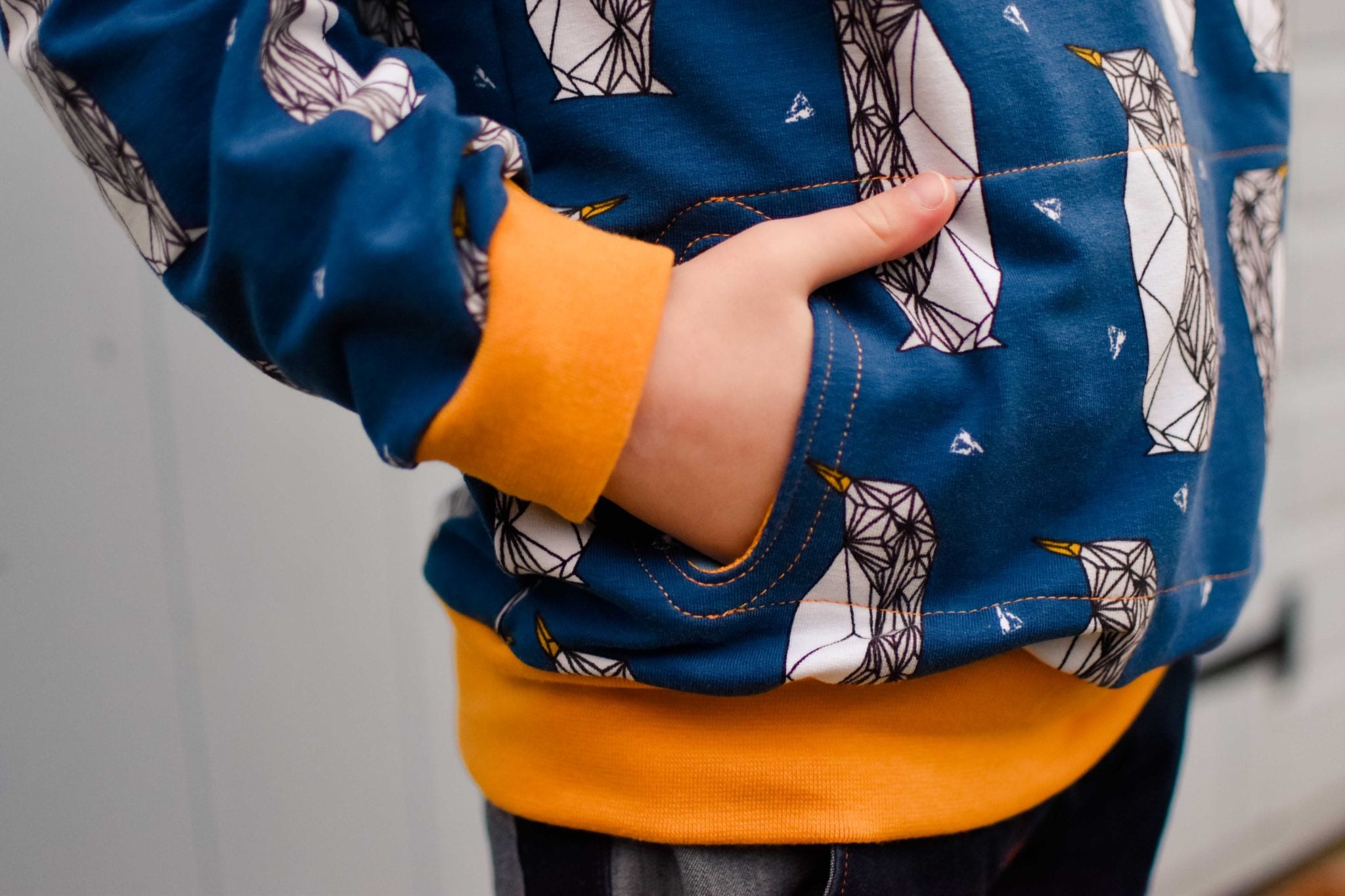 Waves & Wild Baby/Child Adventurer Raglan Sweatshirt