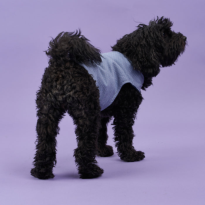 Poppy & Jazz Poppy Dog Coat
