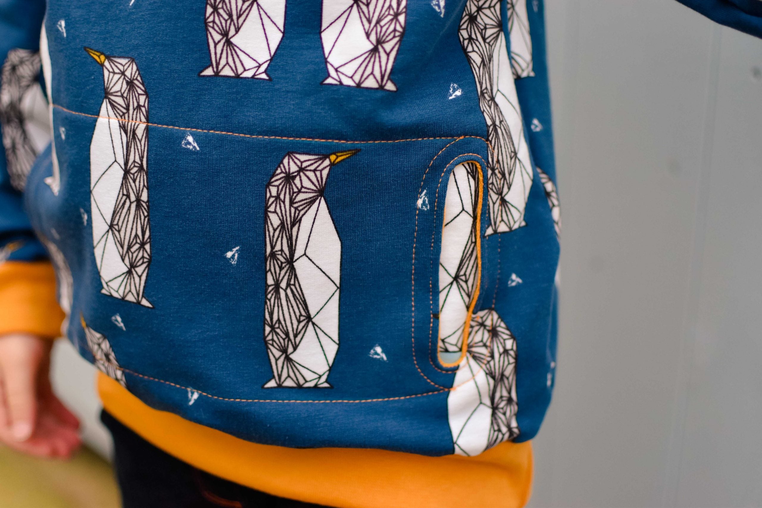 Waves & Wild Baby/Child Adventurer Raglan Sweatshirt
