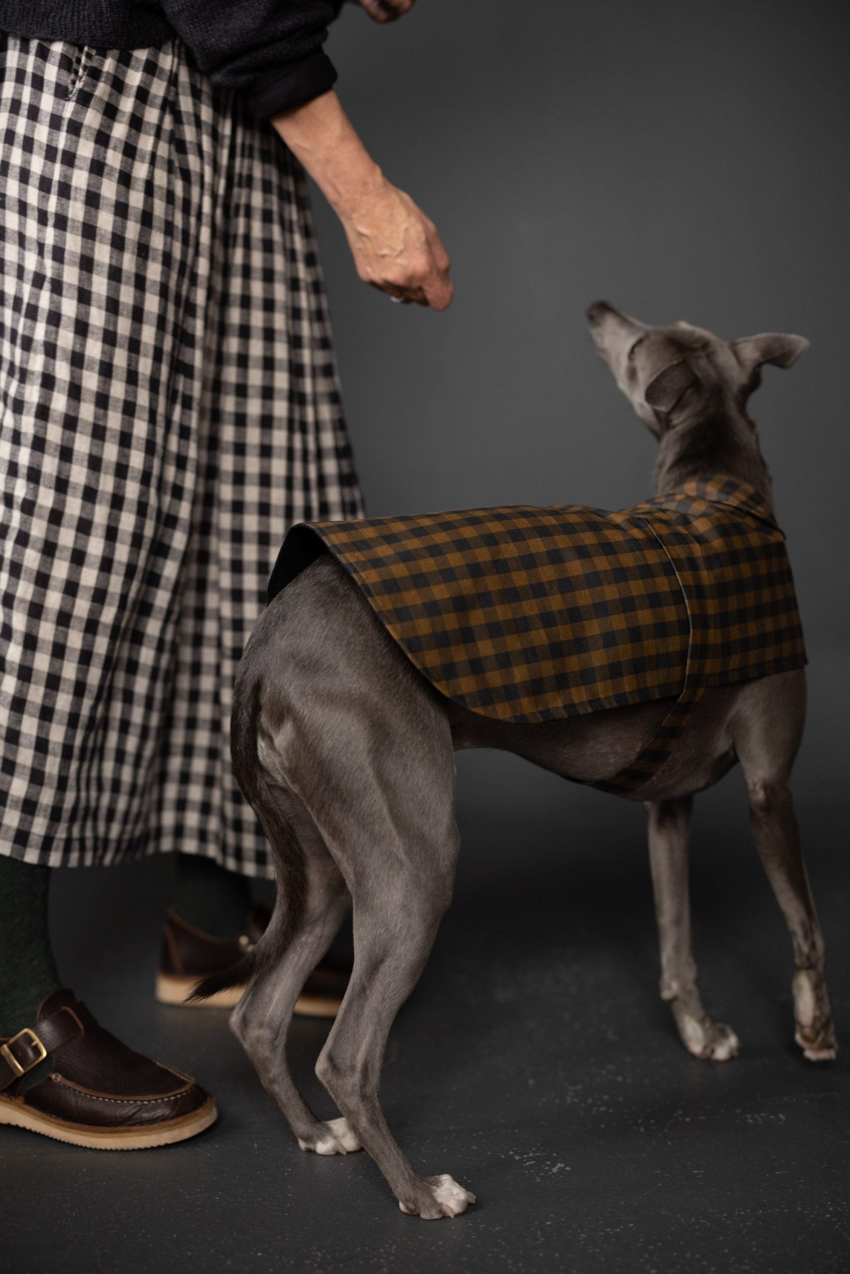 Merchant & Mills Barka Dog Coat – The Fold Line