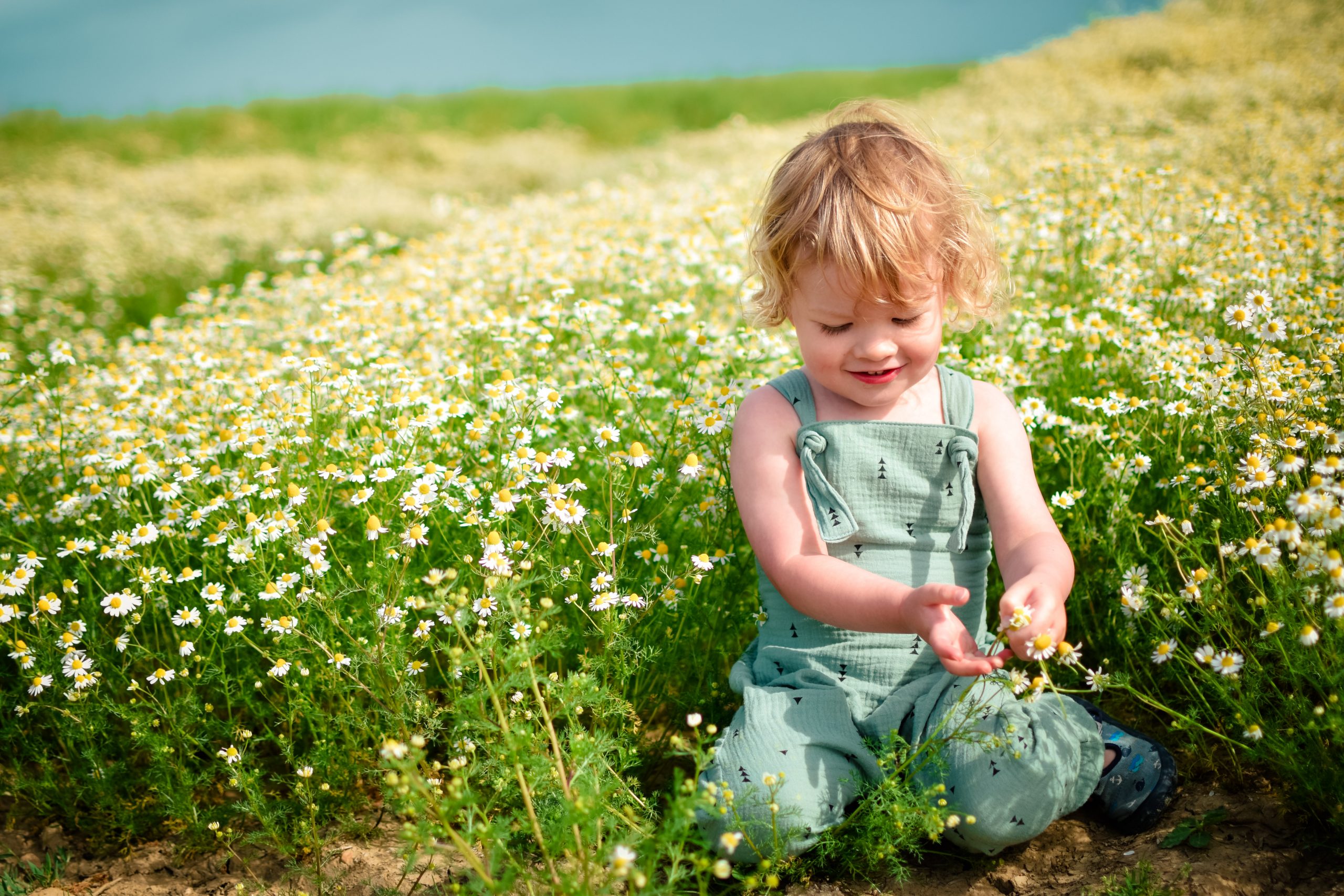 Waves & Wild Child Wild and Free Dungarees