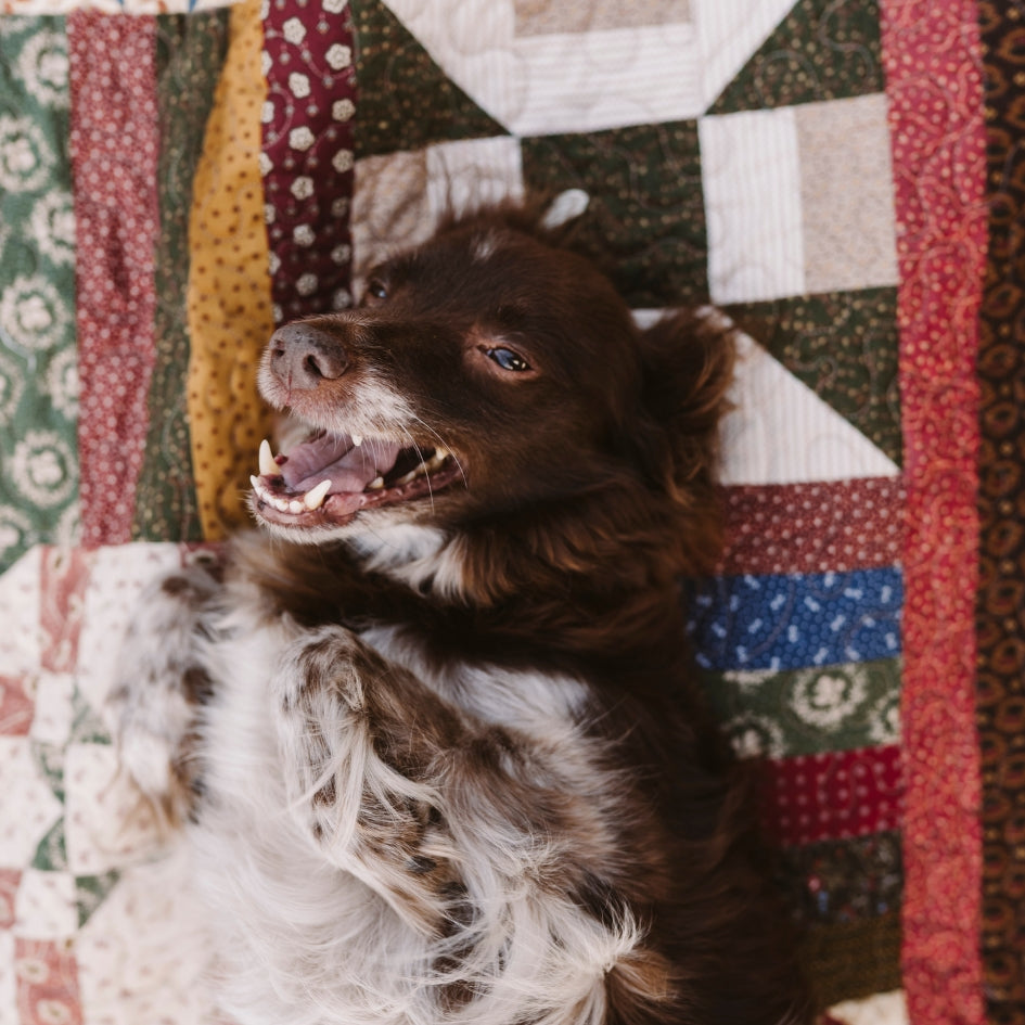 Quiltfolk Dogs