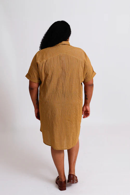 Chalk and Notch Rivi Blouse and Dress