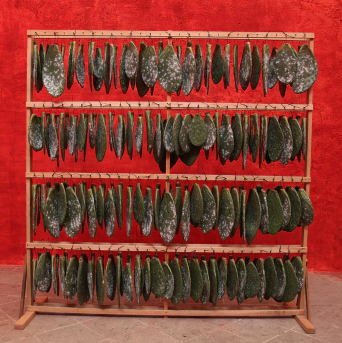 Selvedge Magazine: Issue 128 Routes