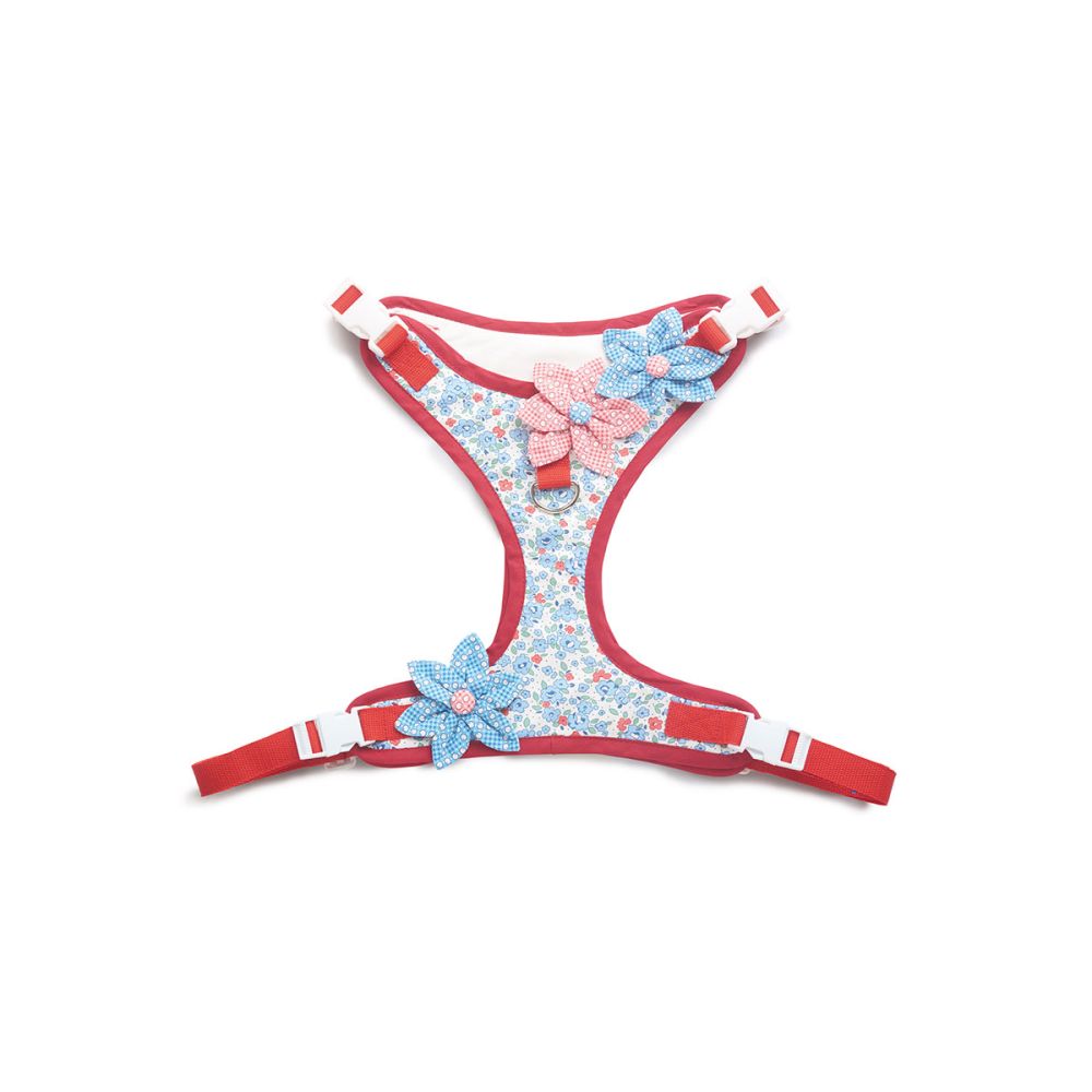 Simplicity Dog Harness & Lead S9664